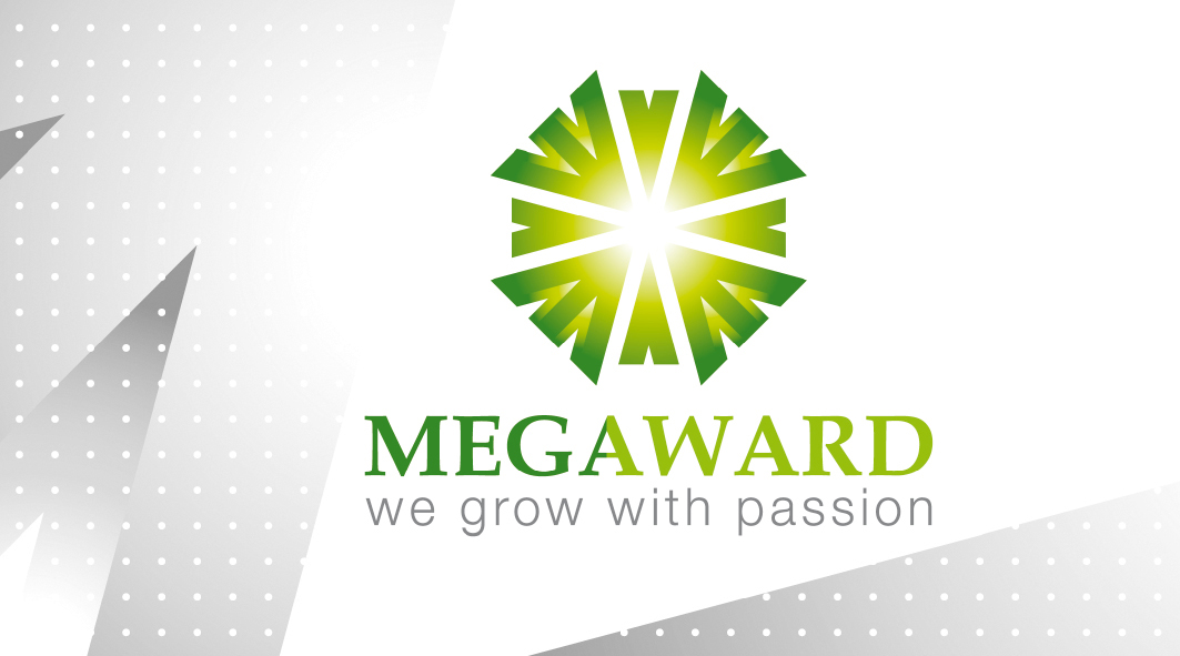 Megaward Property Group Branding by FOX DESIGN